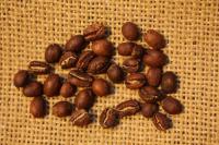 Кофе в зернах Кения Самбуру АА